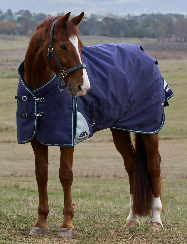ComFiTec Plus Dynamic Turnout 0G