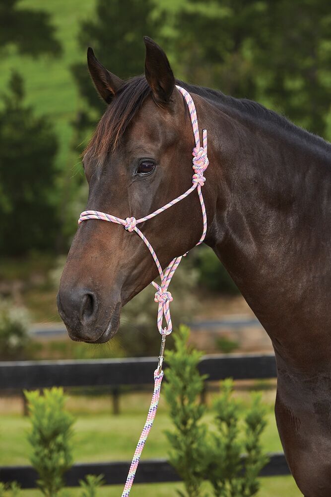 Rainbow Rope Headcollar & Lead Set