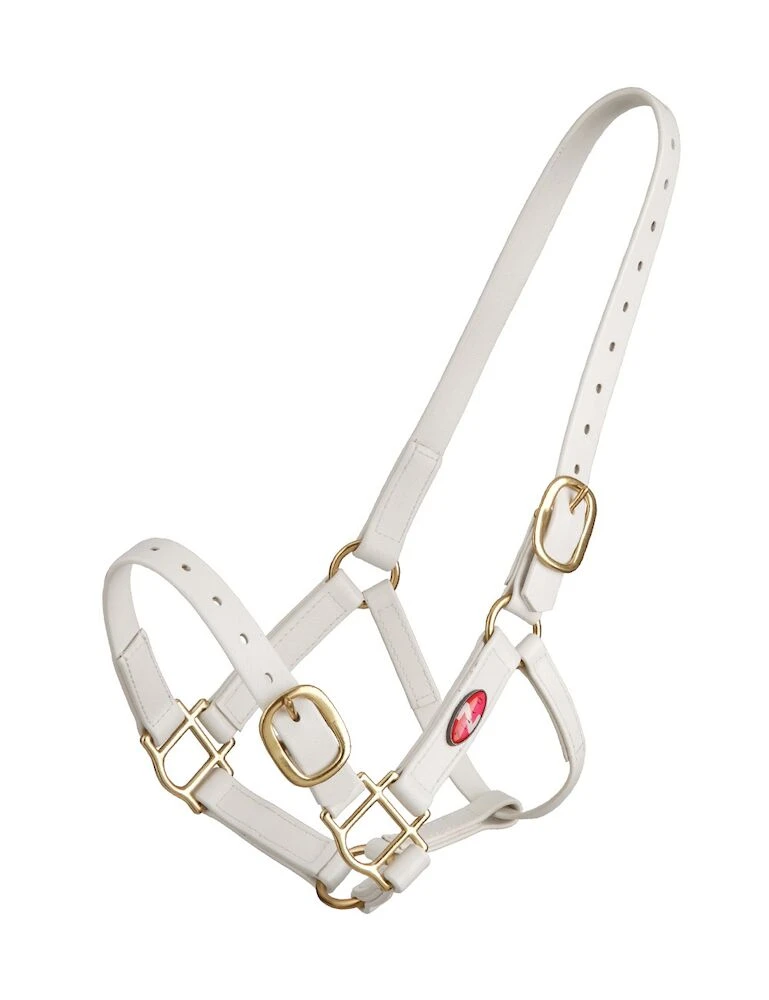 PVC Pn Headstall