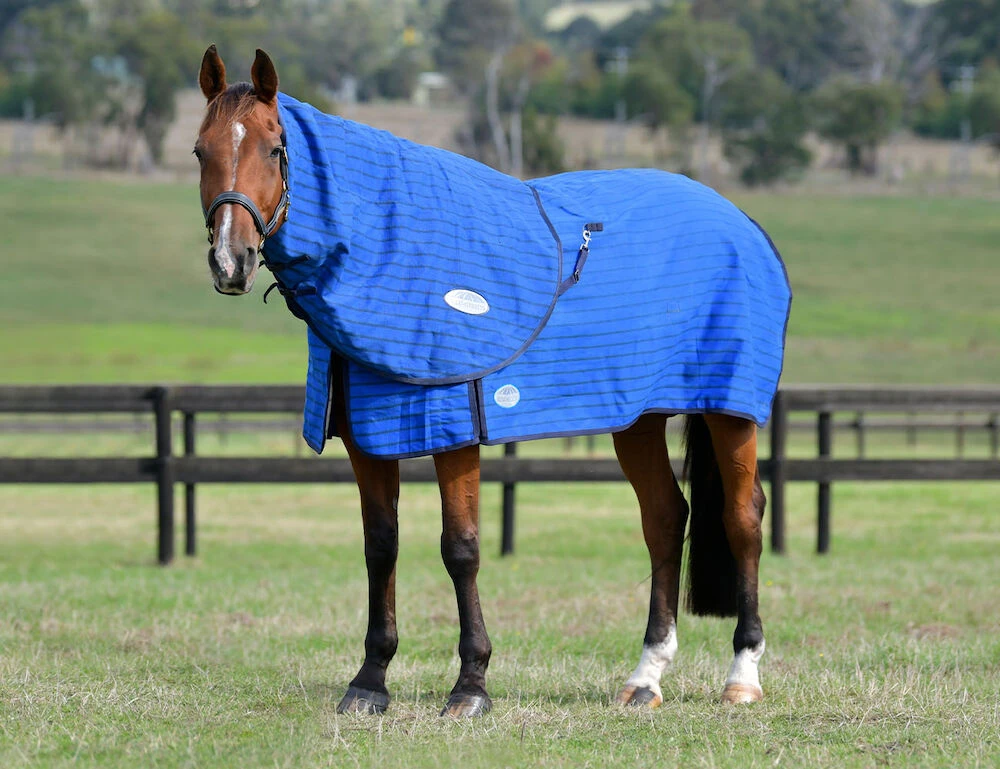 Lined Canvas Neck Rug
