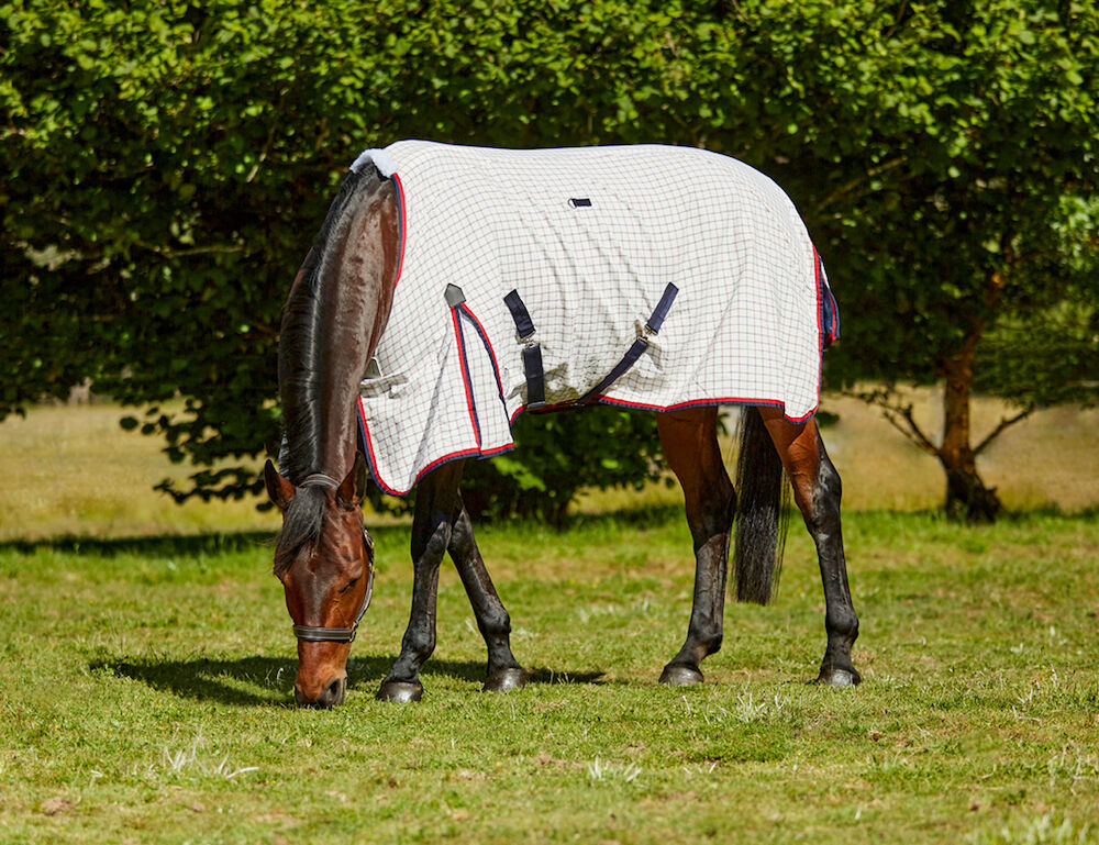 Summer Sheet Lite Standard Neck II