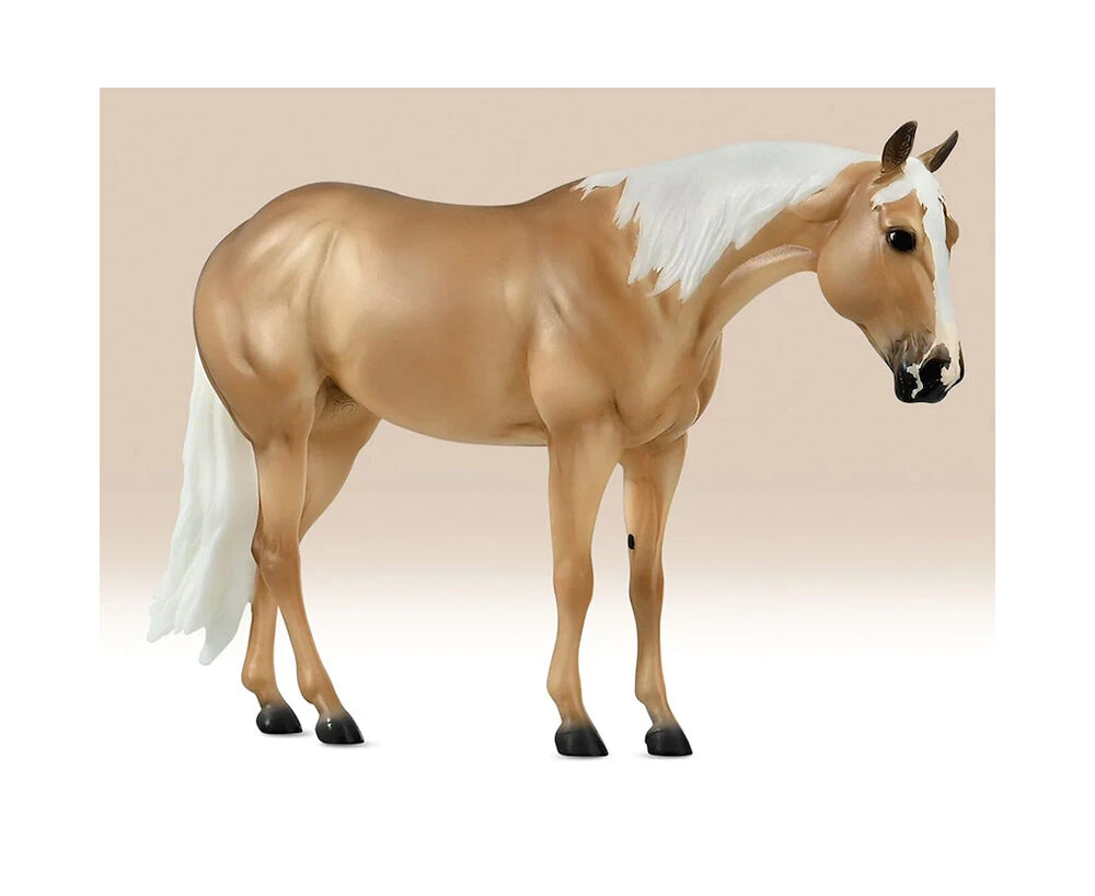 Ebony Shines And Foal