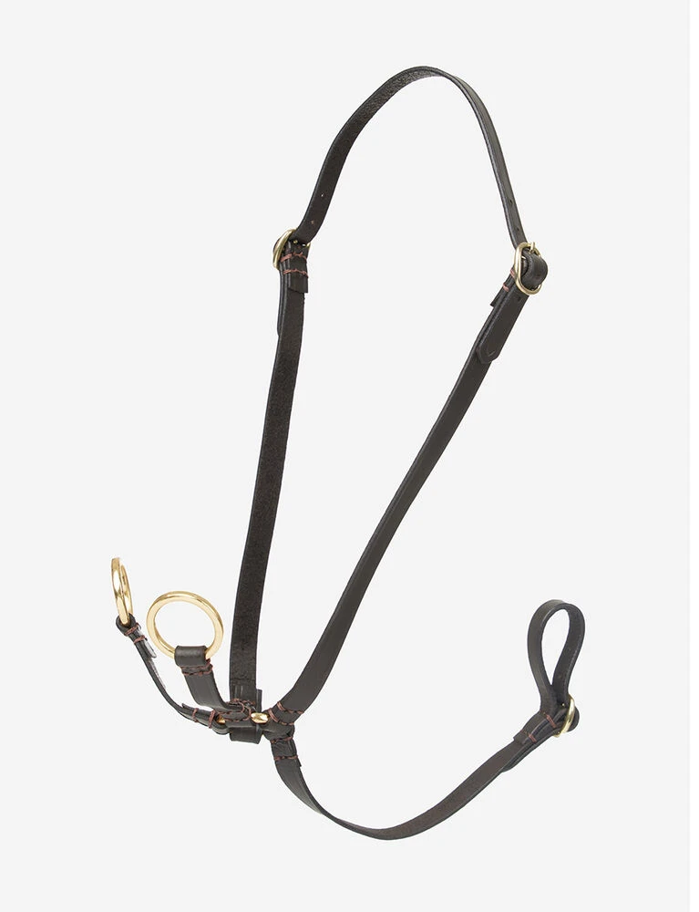 Hobby Horse Running Martingale