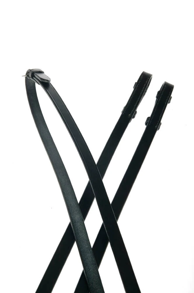 Plain Reins II