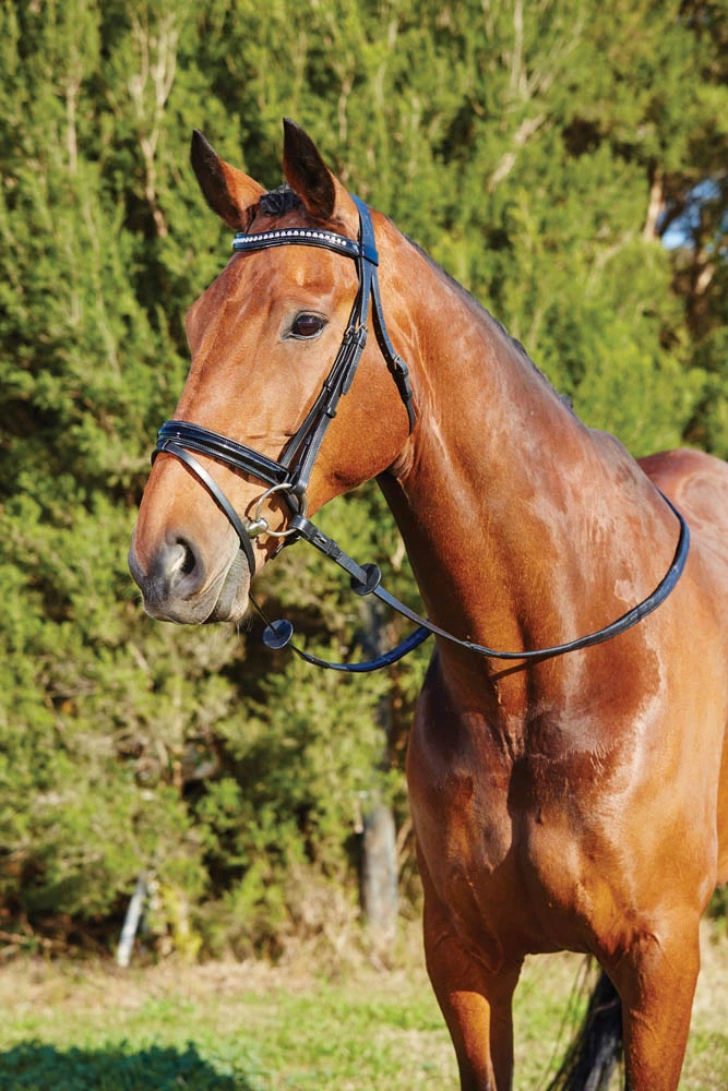 Patent Crystal Crank Bridle