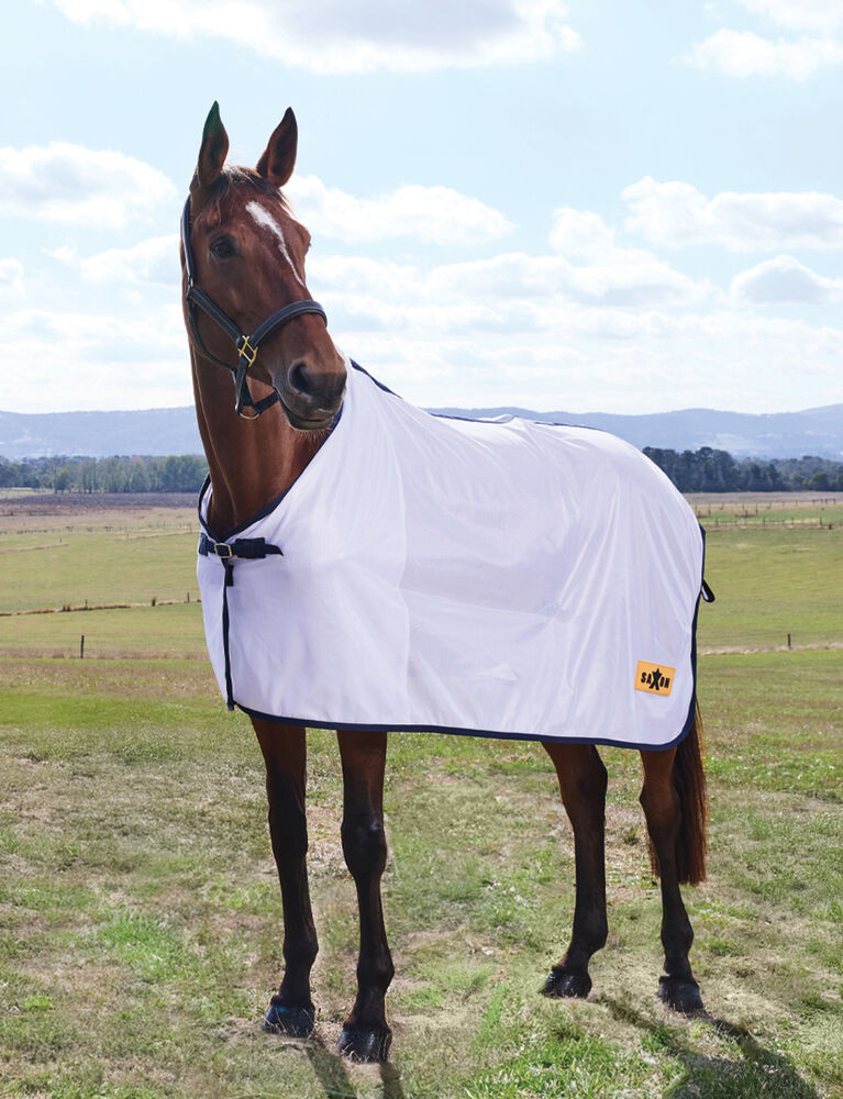 Everyday Fly Sheet