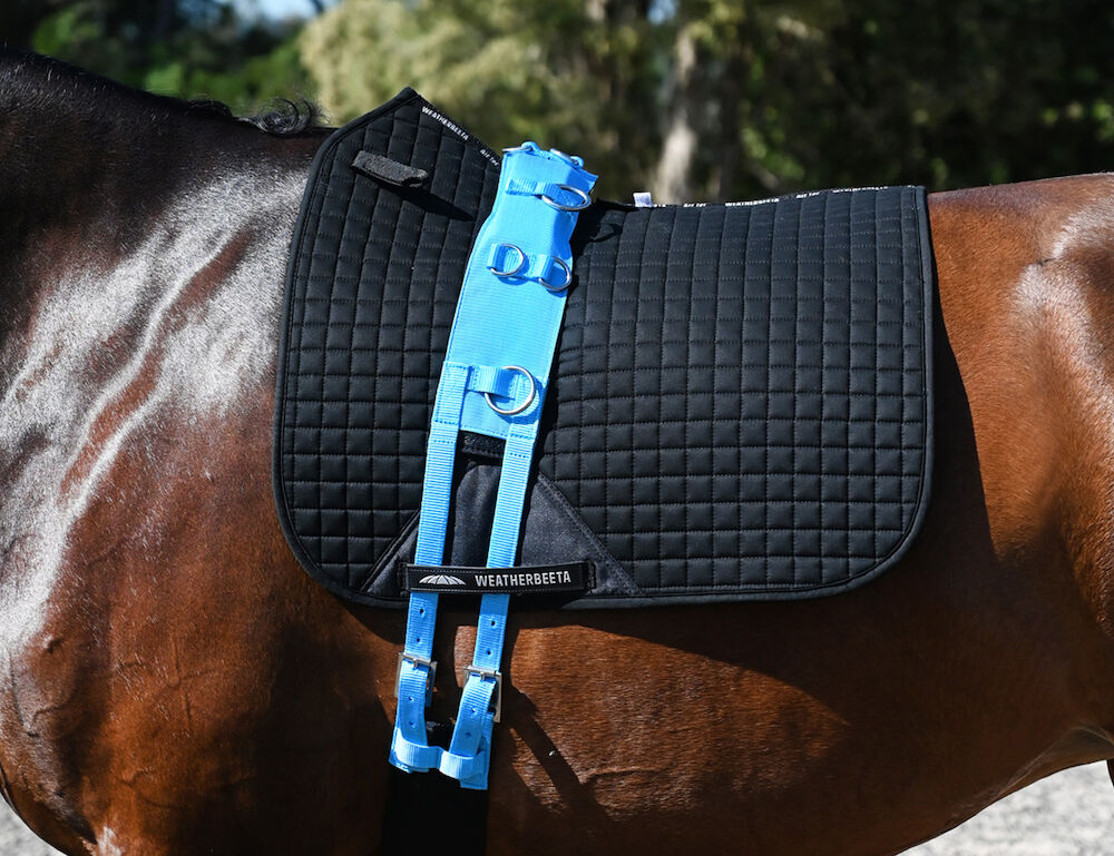 Brights Deluxe Equigrip Lunge Roller