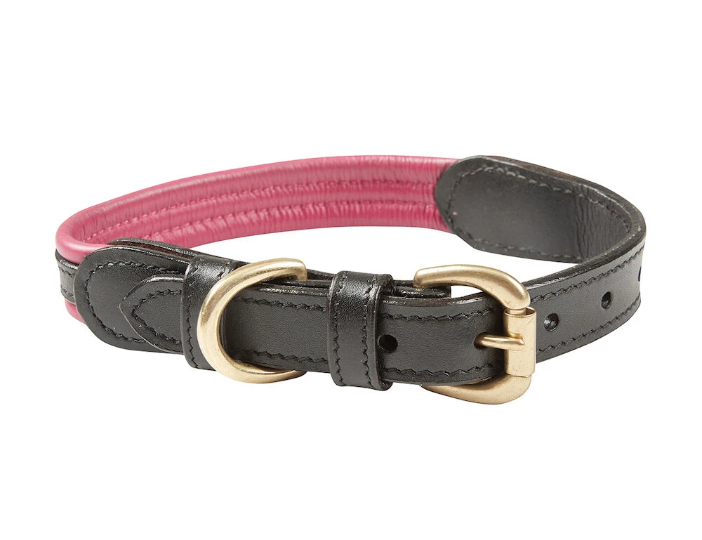 Padded Colour Leather Dog Collar