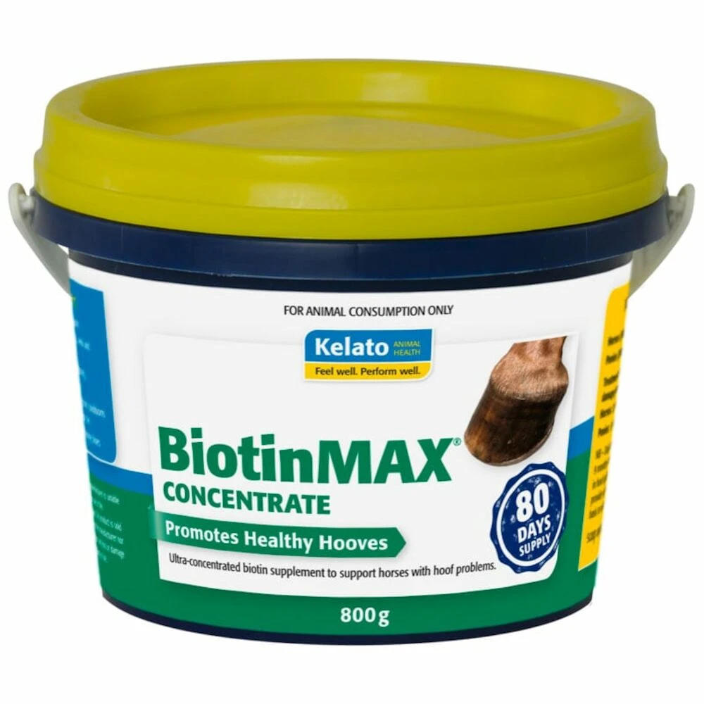 Biotinmax Concentrate 800Gm