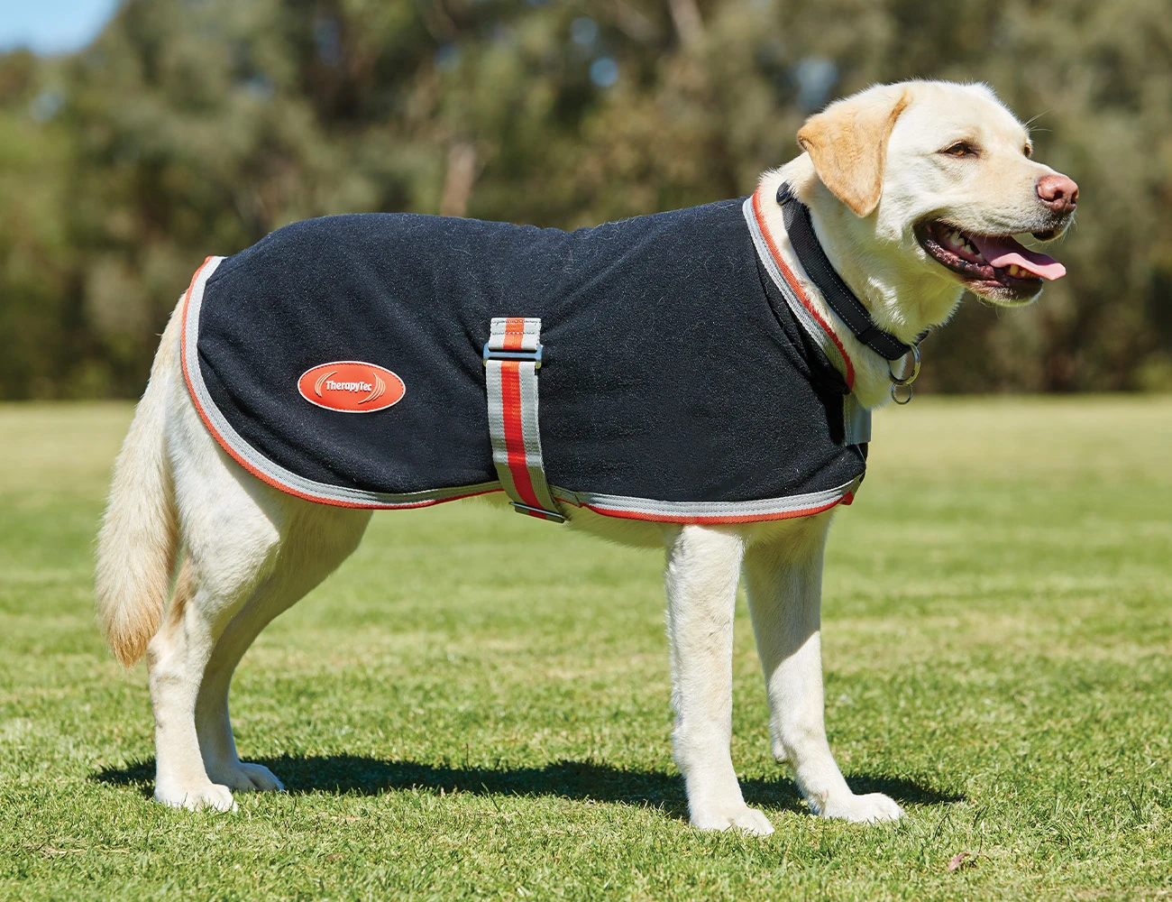 ComFiTec Therapy-Tec Fleece Dog Coat