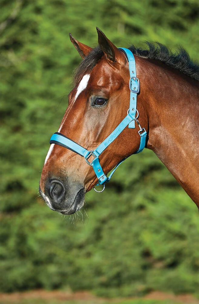 Nylon Padded Imprint Headcollar