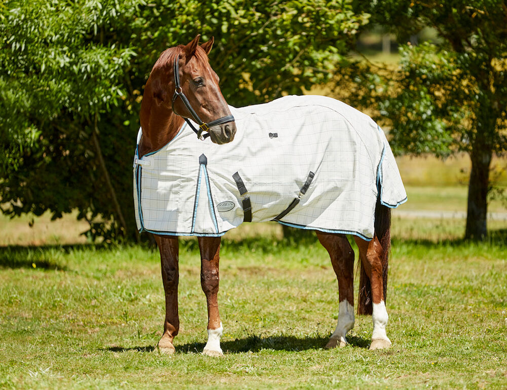 Cotton Summer Sheet Standard Neck