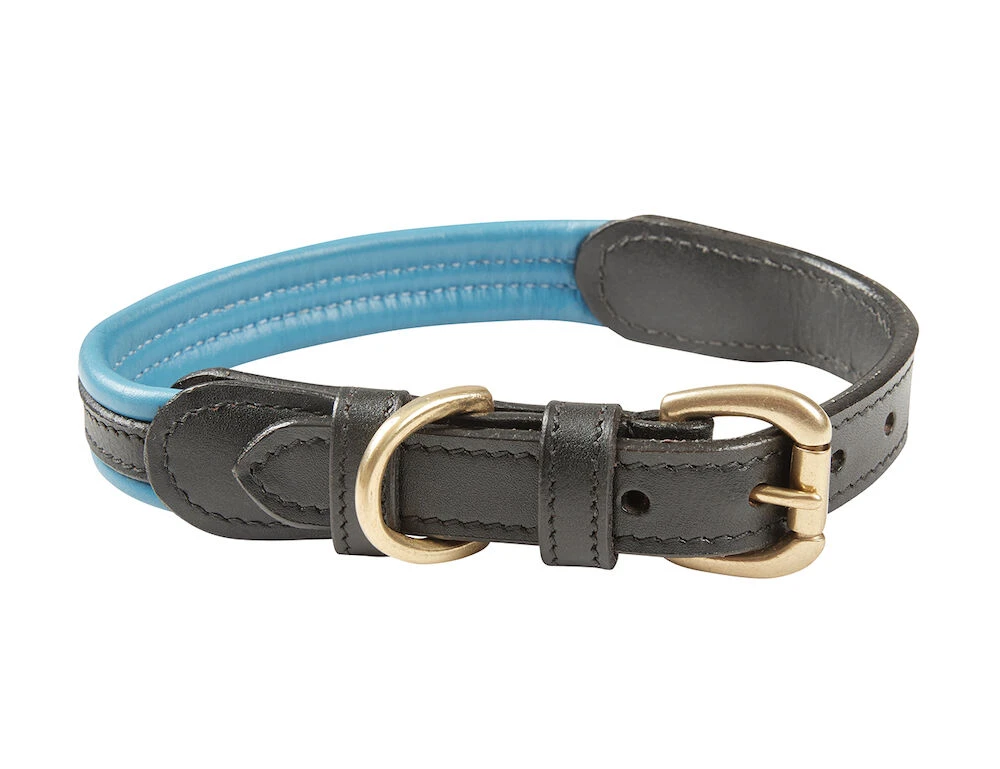 Padded Colour Leather Dog Collar
