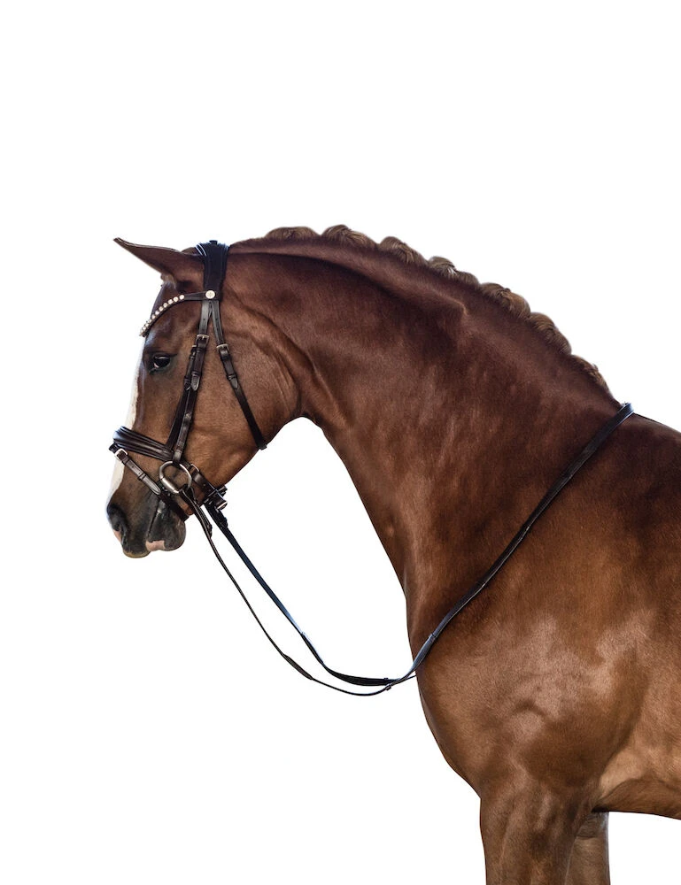 Essential Pony Bridle With Flash