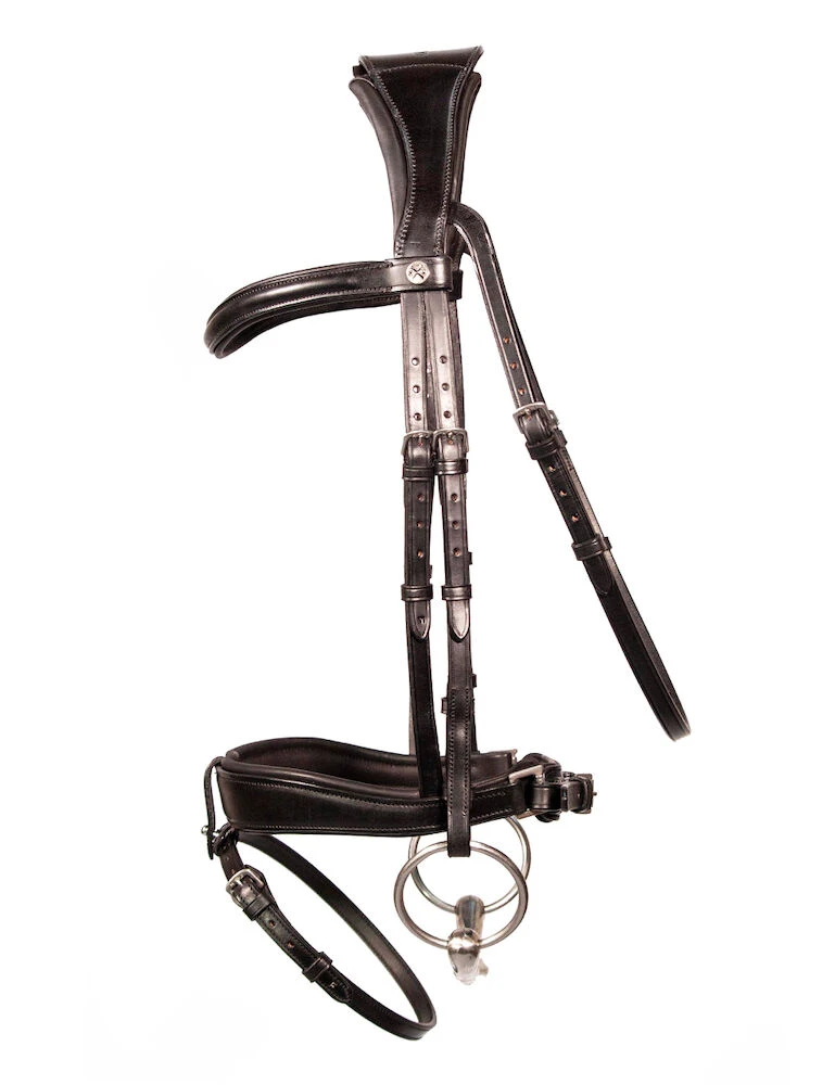 Dressage Bridle