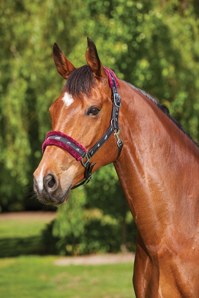 Fleece Lined Ribbon Headcollar