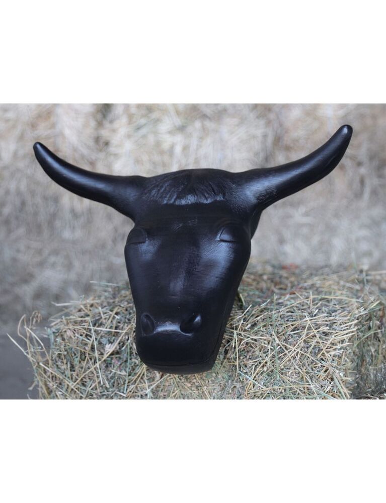 Plastic Steer Head