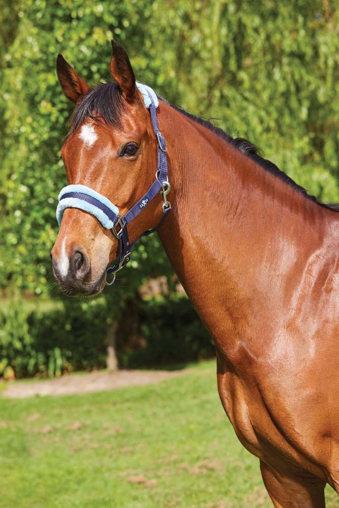 Element Fleece Headcollar
