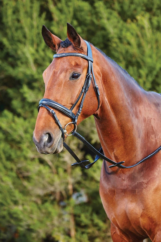 11 Crystal Flash Bridle