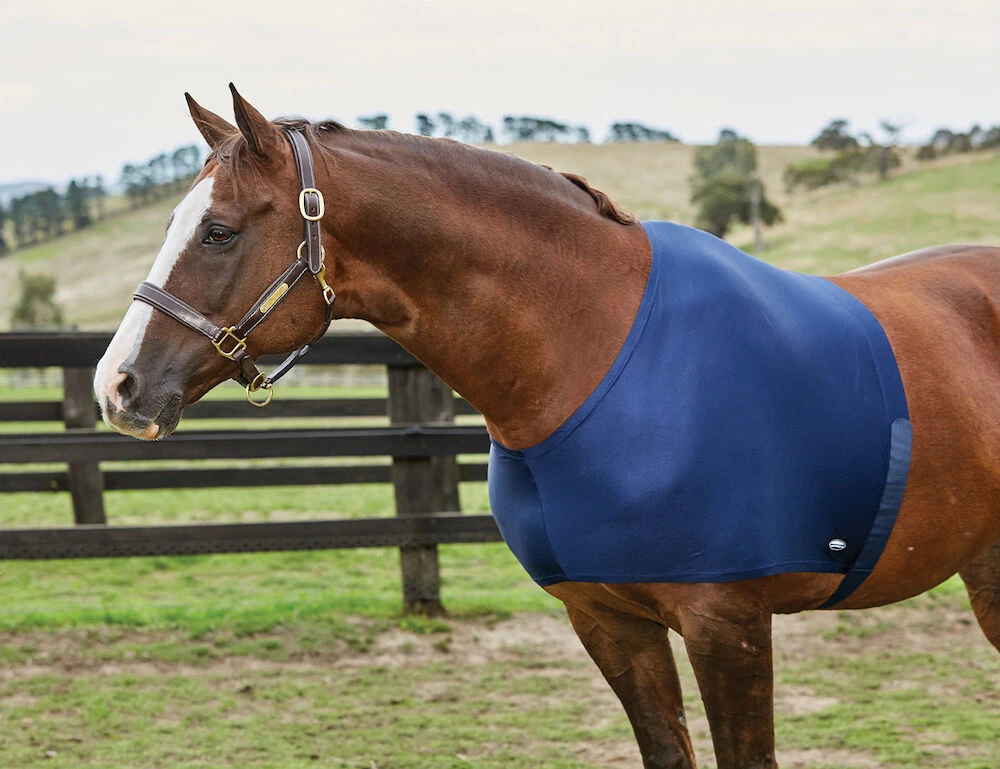 Stretch Shoulder Guard