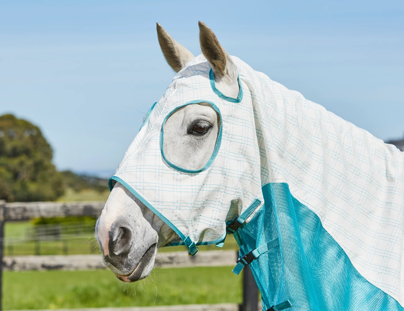 Cotton Airstream Hood