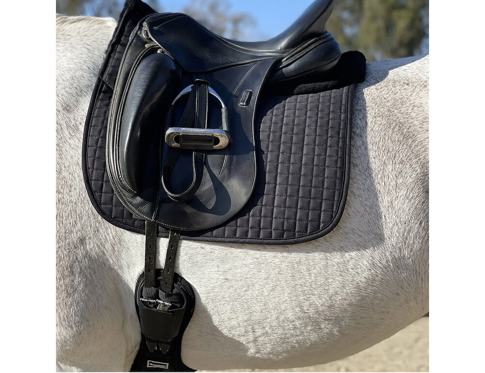 Dressage Pad Correction With Impact Shims