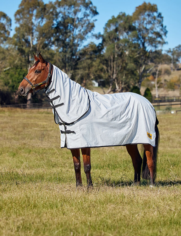 Kool Coat Classic Lite Sheet Combo