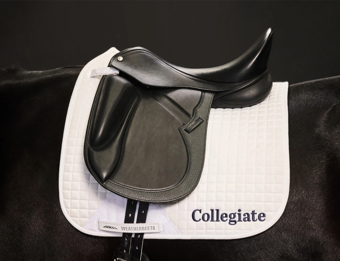 Resolute Dressage Saddle