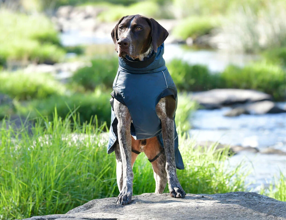Explorer Medium Dog Coat