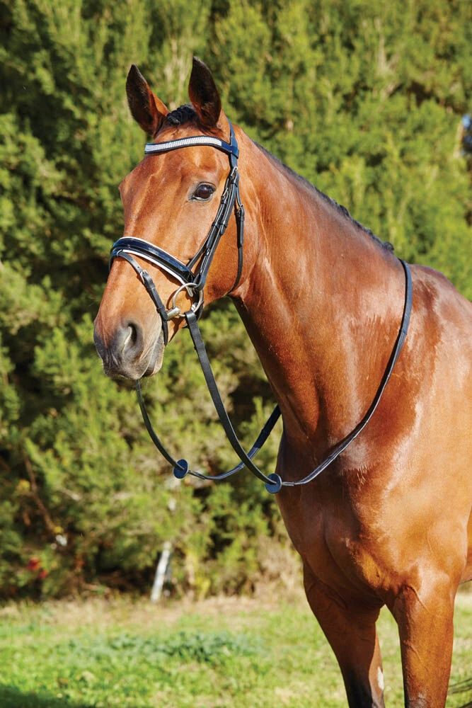 Patent Crystal Flash Bridle