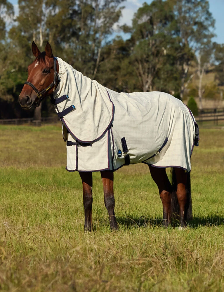 Cotton Summer Sheet Scrunch Combo