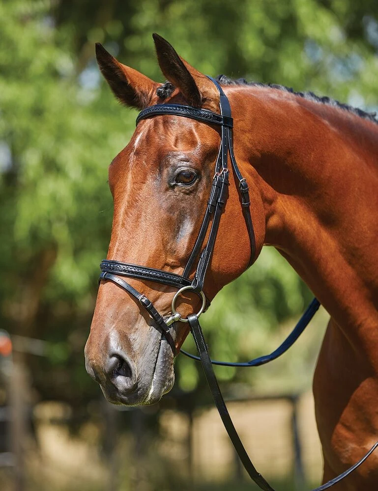 Plaited Patent Bridle