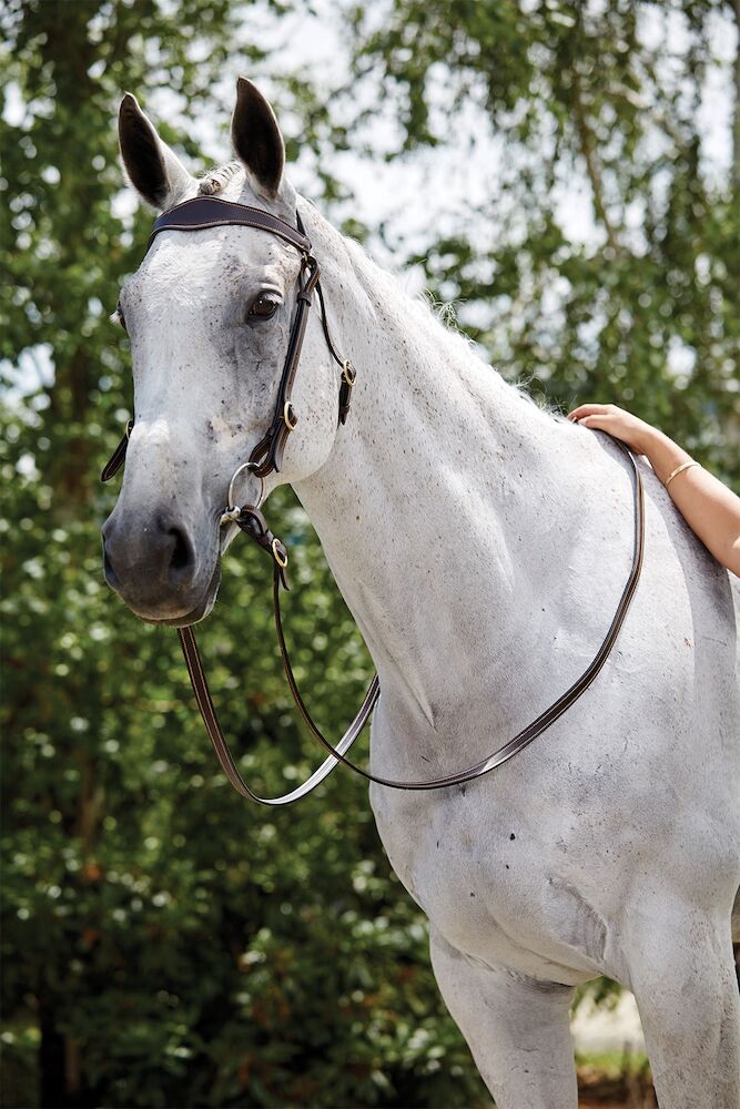 3\/4 Stitched Stockmans Barcoo Bridle