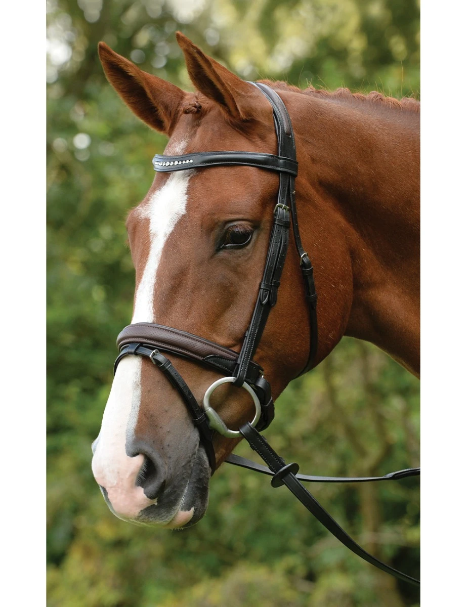 Comfort Crystal Crank Bridle