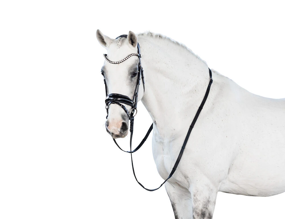 Glam Snaffle Bridle With Flash