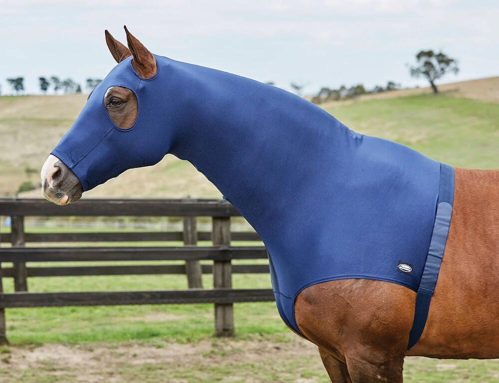 Stretch Hood With Zip
