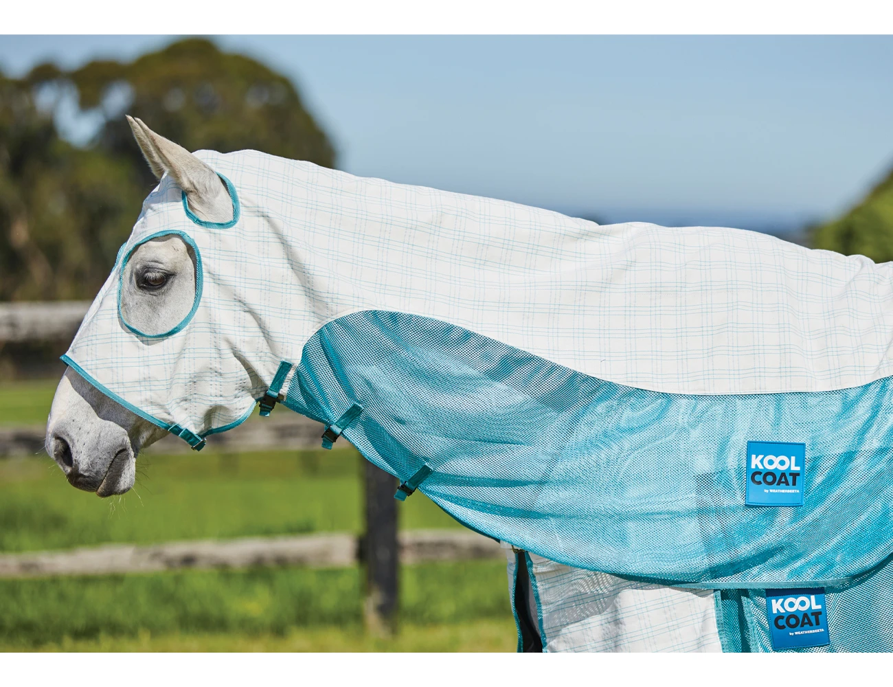 Cotton Airstream Hood