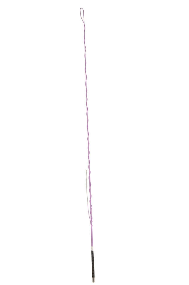 Lunge Whip With Grip Handle