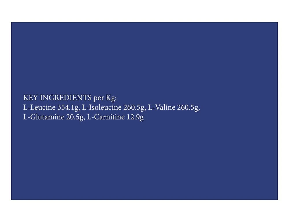 Bcaa Powder