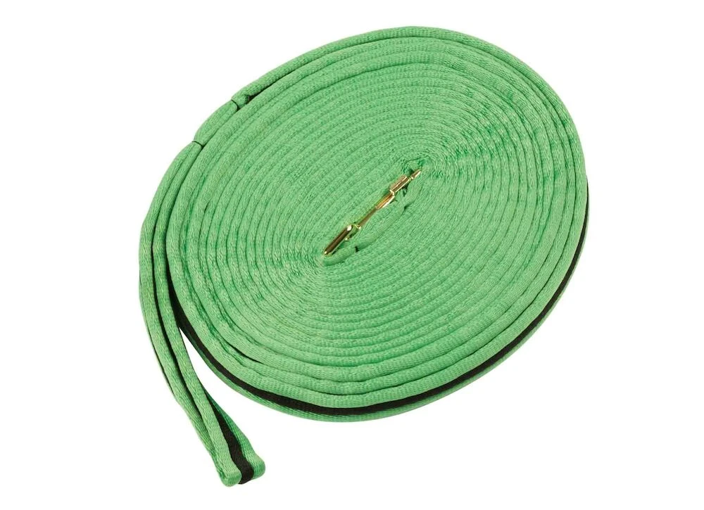 Brights Two Tone Padded Lunging Rein