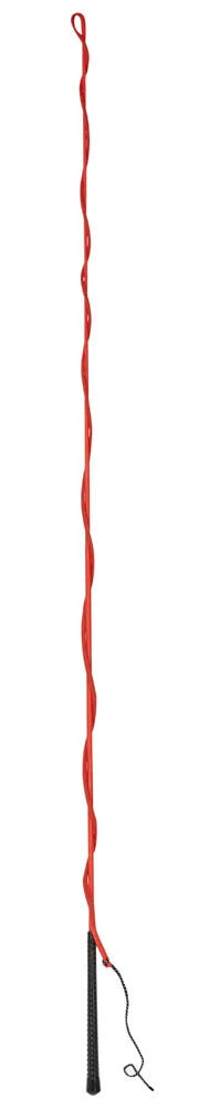 Lunge Whip