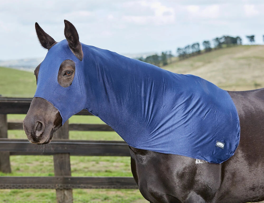 Stretch Hood