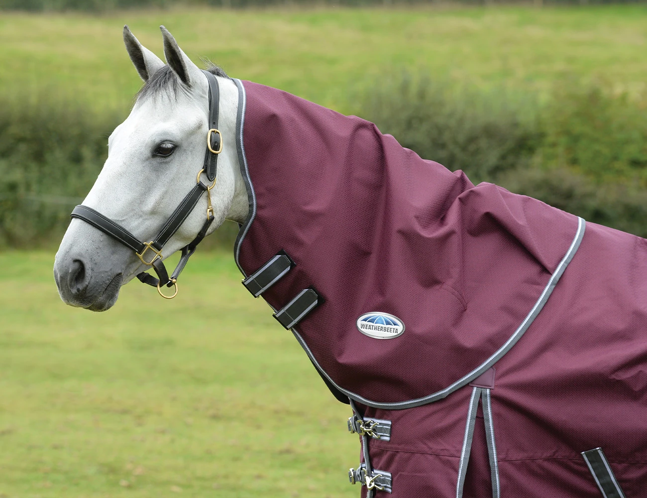 ComFiTec Plus Dynamic II Neck Rug Medium