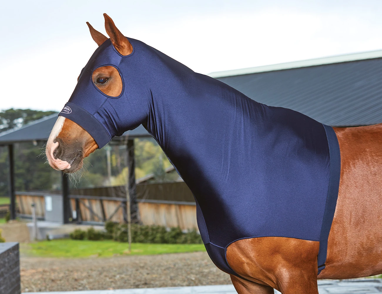 Deluxe Stretch Hood