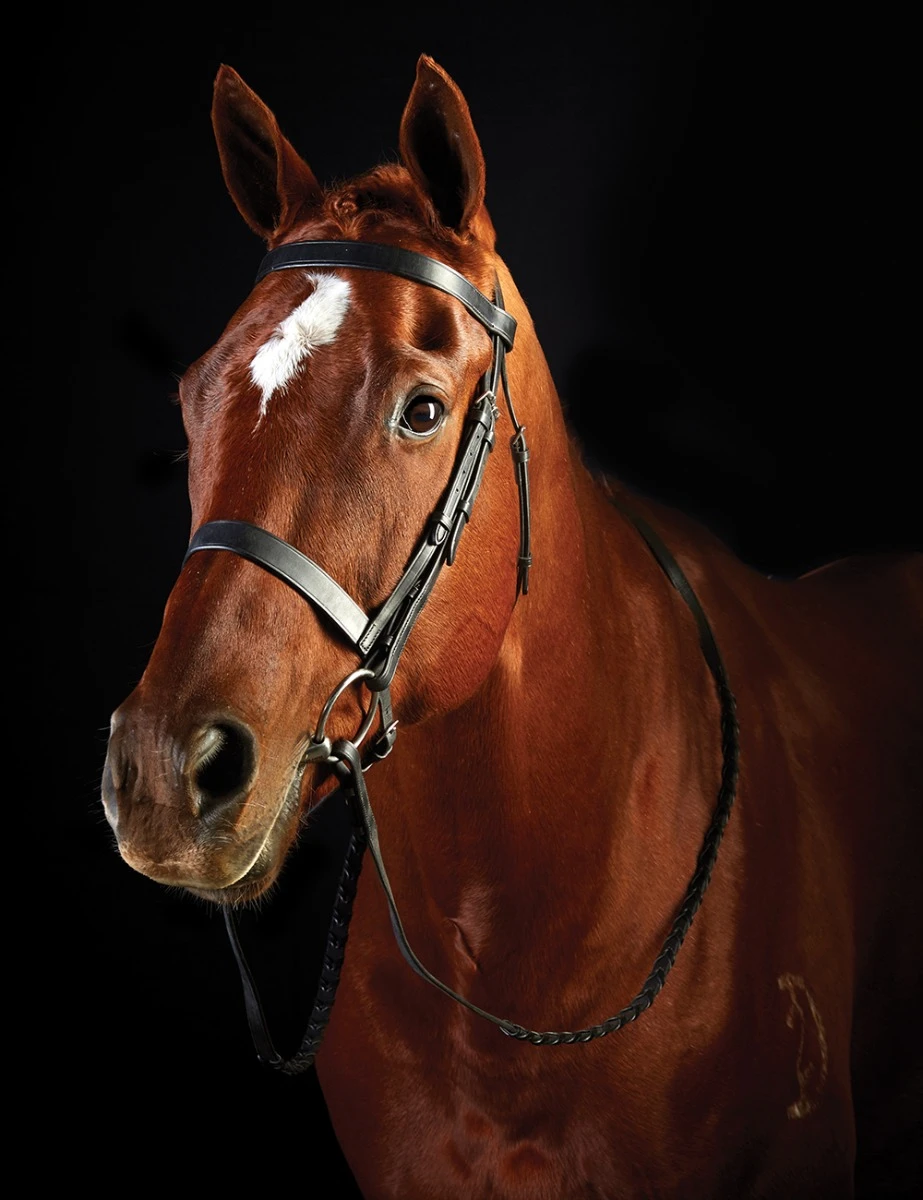 Flat Cavesson II Bridle