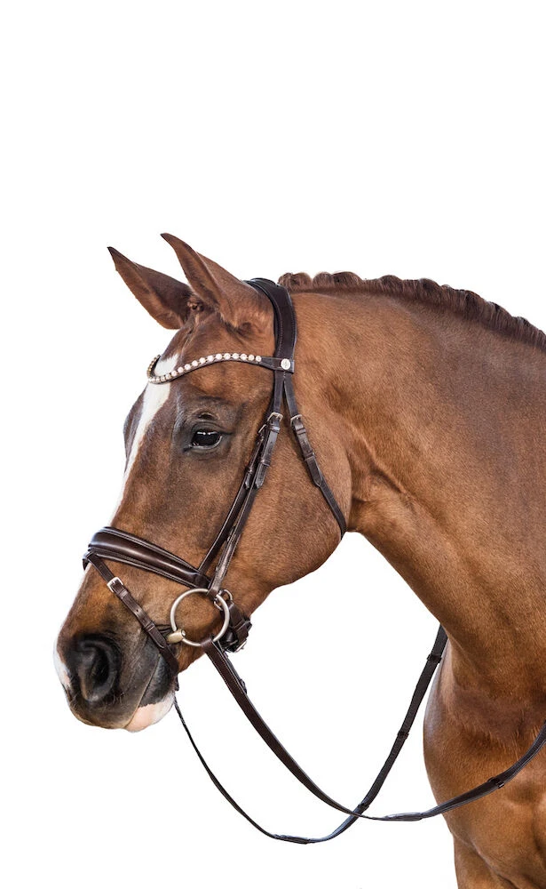 Essential Snaffle Bridle With Flash