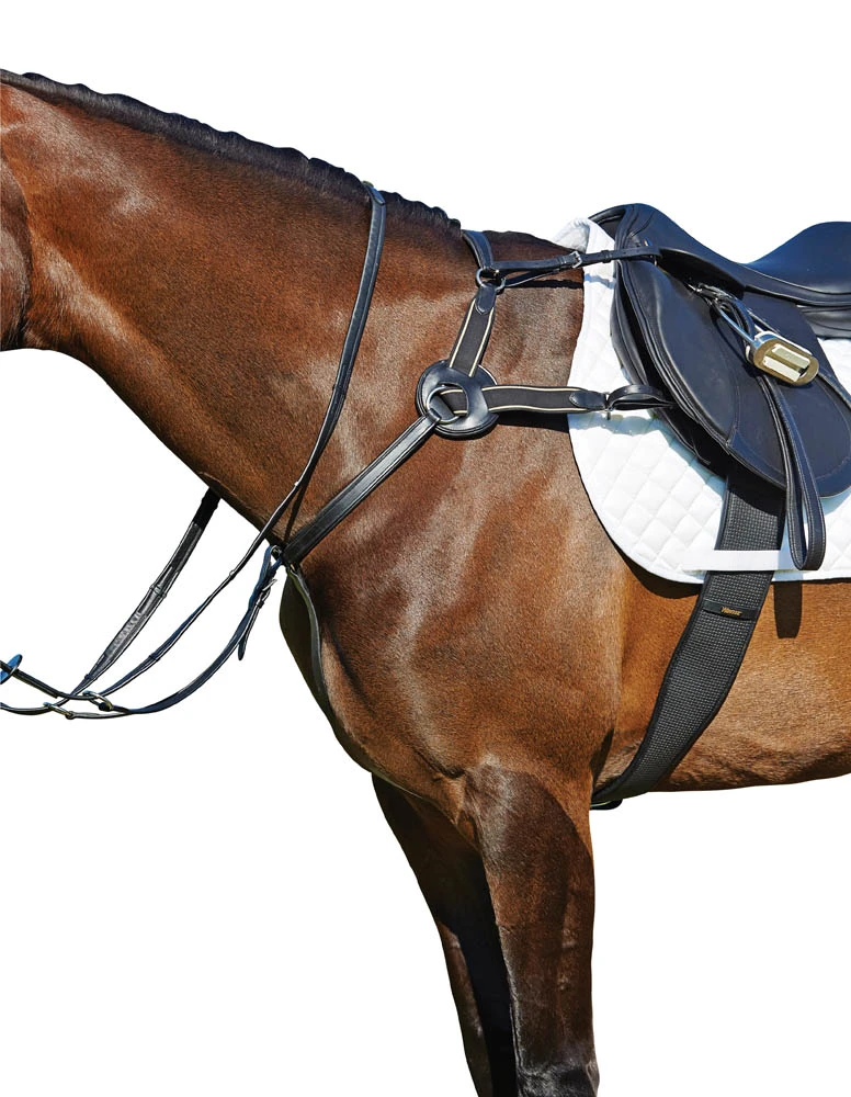 Leather Five Point Breastplate