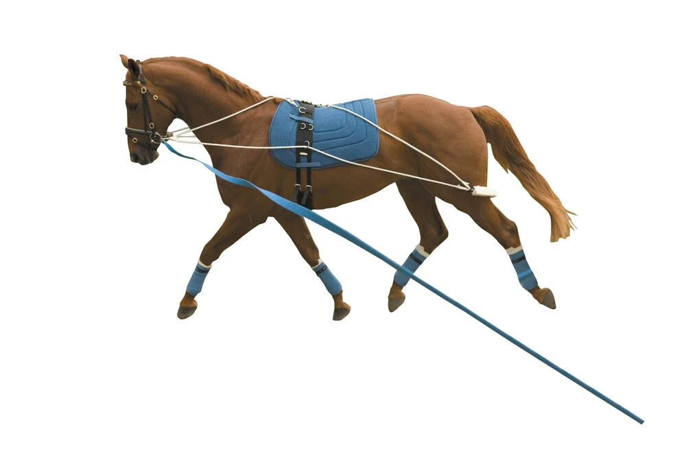 Lunging Training System