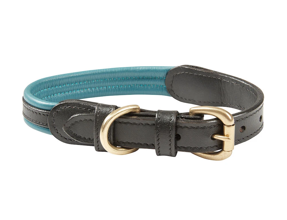 Padded Colour Leather Dog Collar