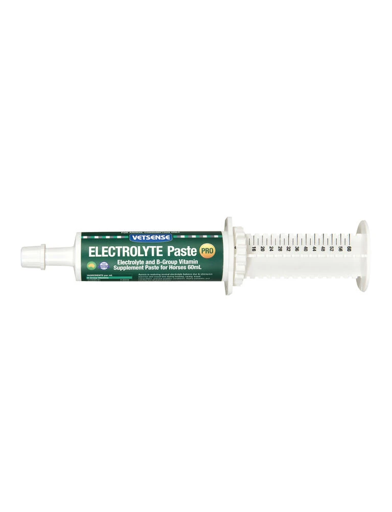 Electrolyte Paste